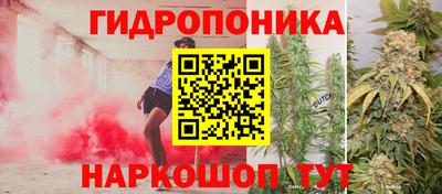 кокс Малоярославец