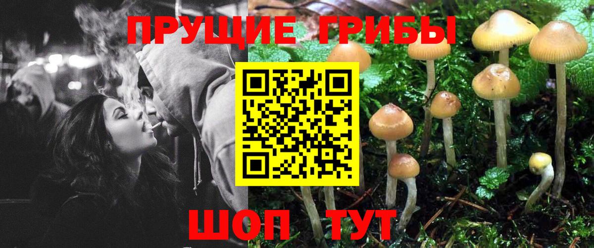 Псилоцибиновые грибы ЛСД Семёнов